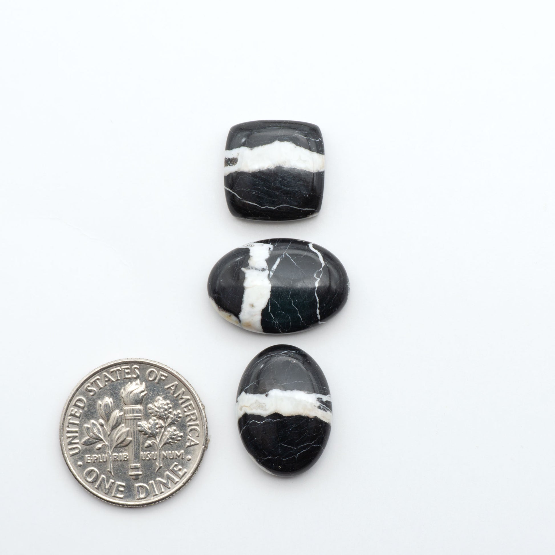 White Buffalo stone cabochons, white stone with black matrix, polished stones on a white background, with a US dime for scale