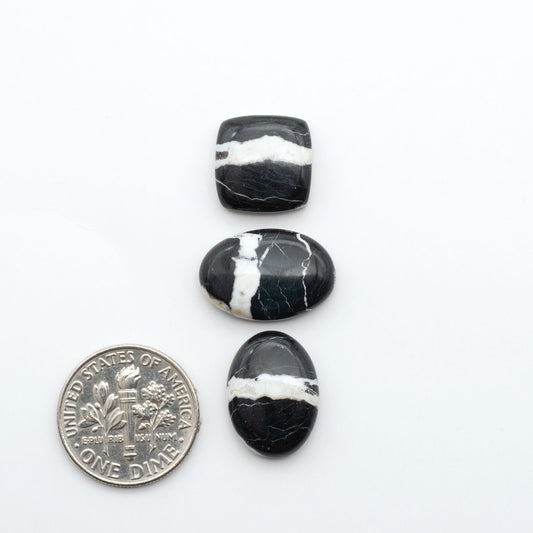 White Buffalo stone cabochons, white stone with black matrix, polished stones on a white background, with a US dime for scale