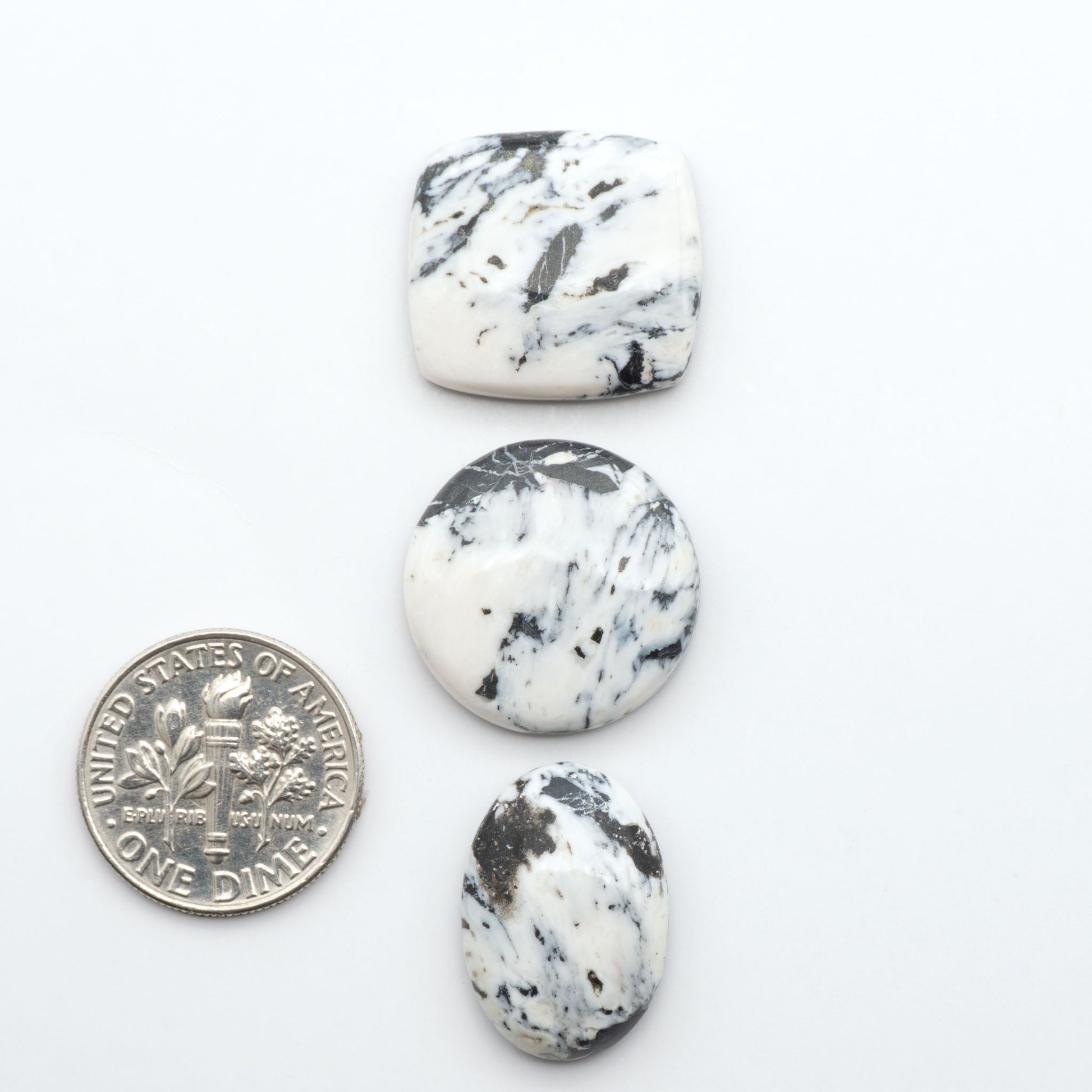 White Buffalo stone cabochons, white stone with black matrix, polished stones on a white background, with a US dime for scale