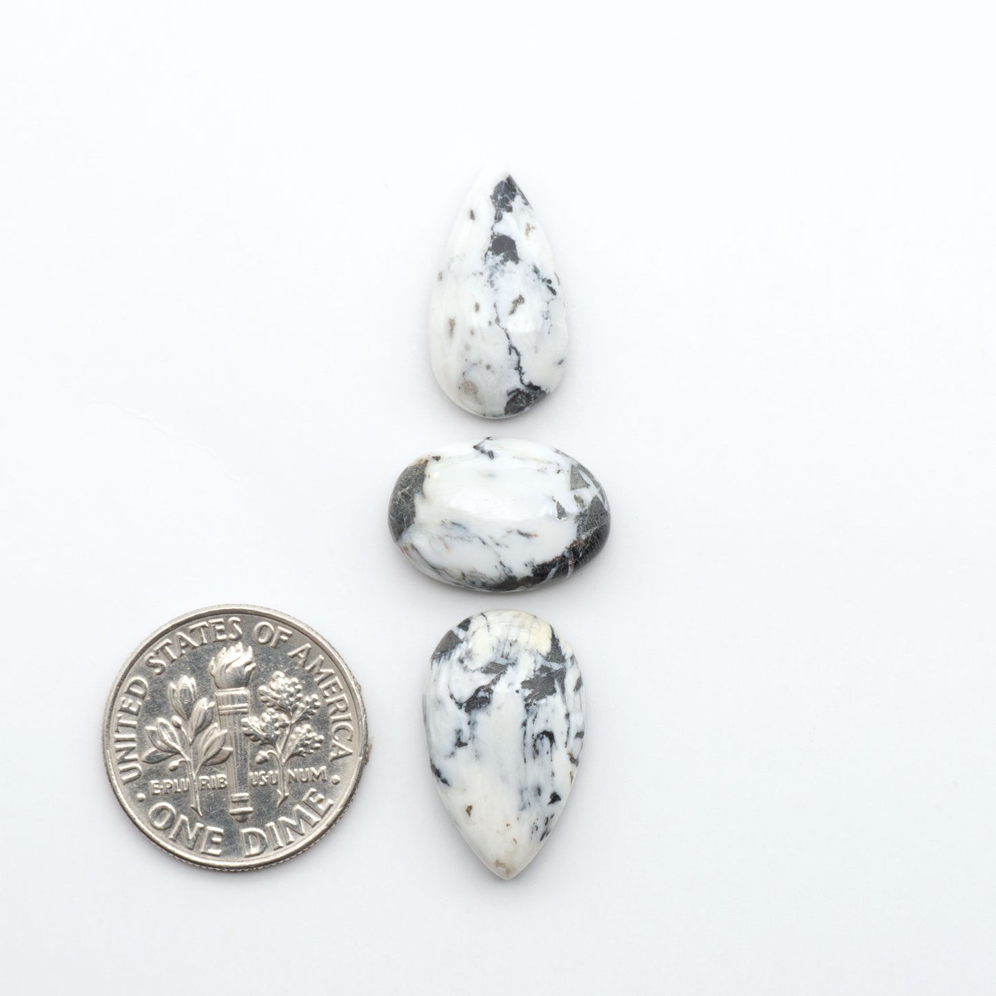 White Buffalo stone cabochons, white stone with black matrix, polished stones on a white background, with a US dime for scale