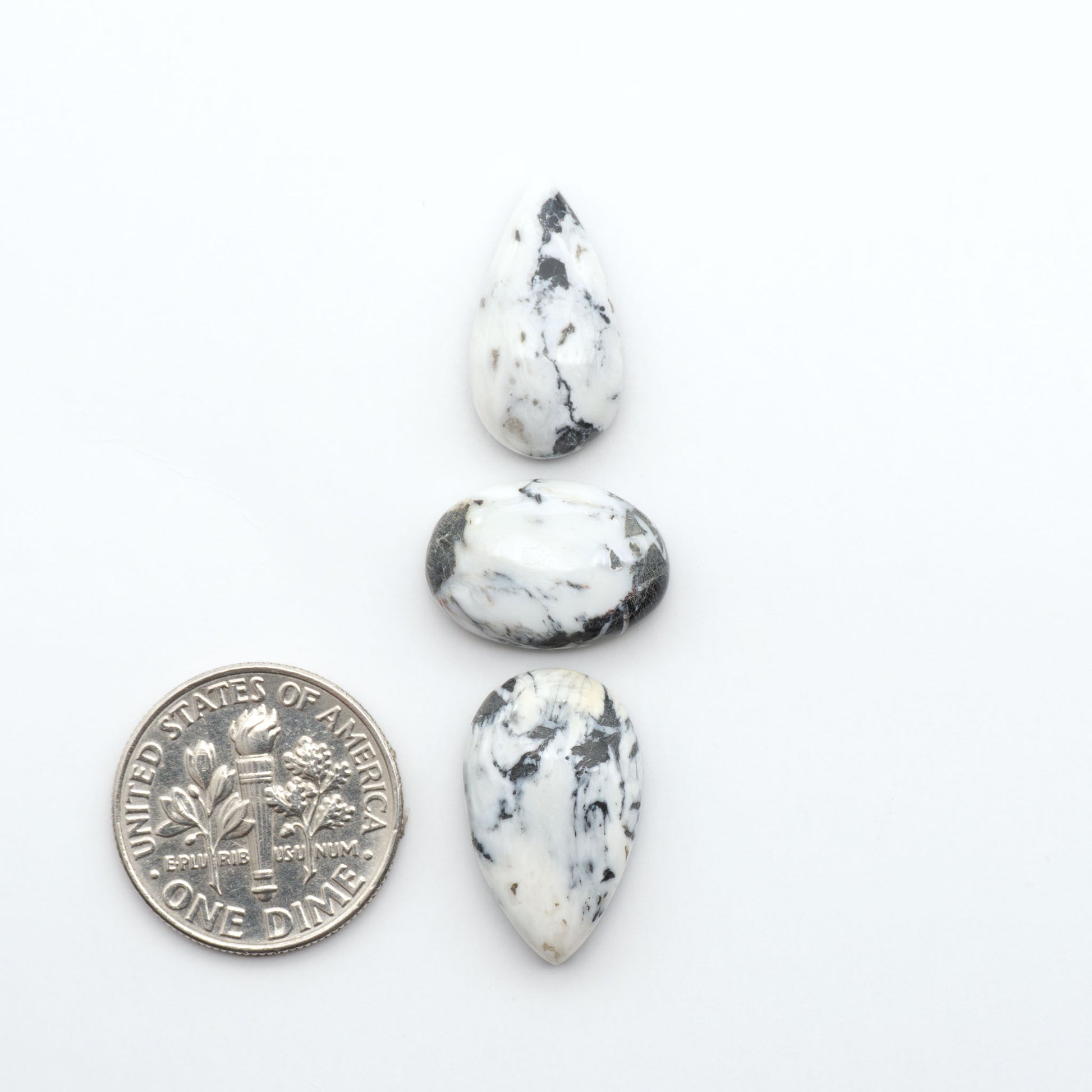 White Buffalo stone cabochons, white stone with black matrix, polished stones on a white background, with a US dime for scale