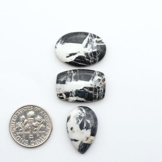 White Buffalo stone cabochons, white stone with black matrix, polished stones on a white background, with a US dime for scale