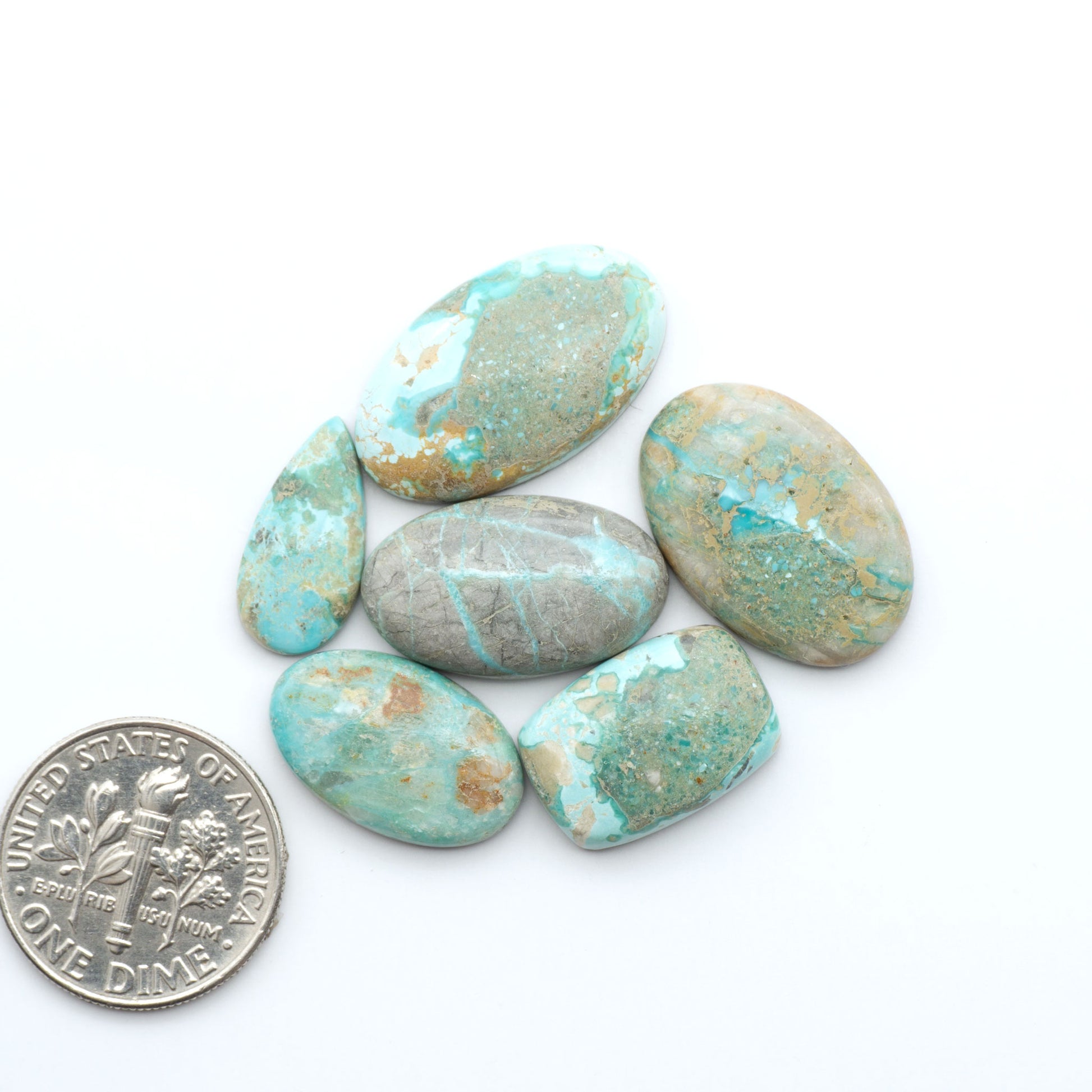 Fox Turquoise cabochons, polished gemstones with natural matrix on a white background, with a US dime for scale