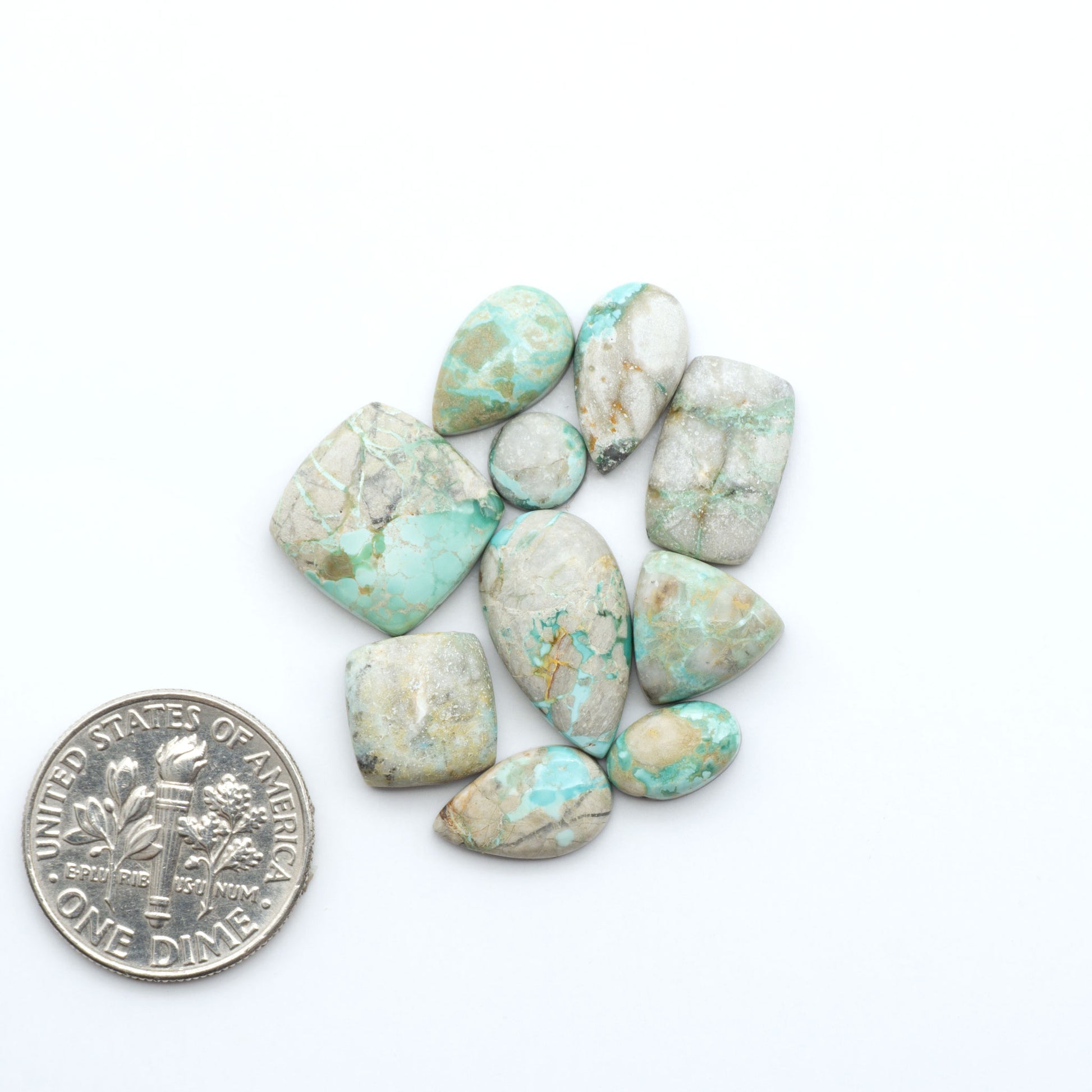 Fox Turquoise cabochons, polished gemstones with natural matrix on a white background, with a US dime for scale