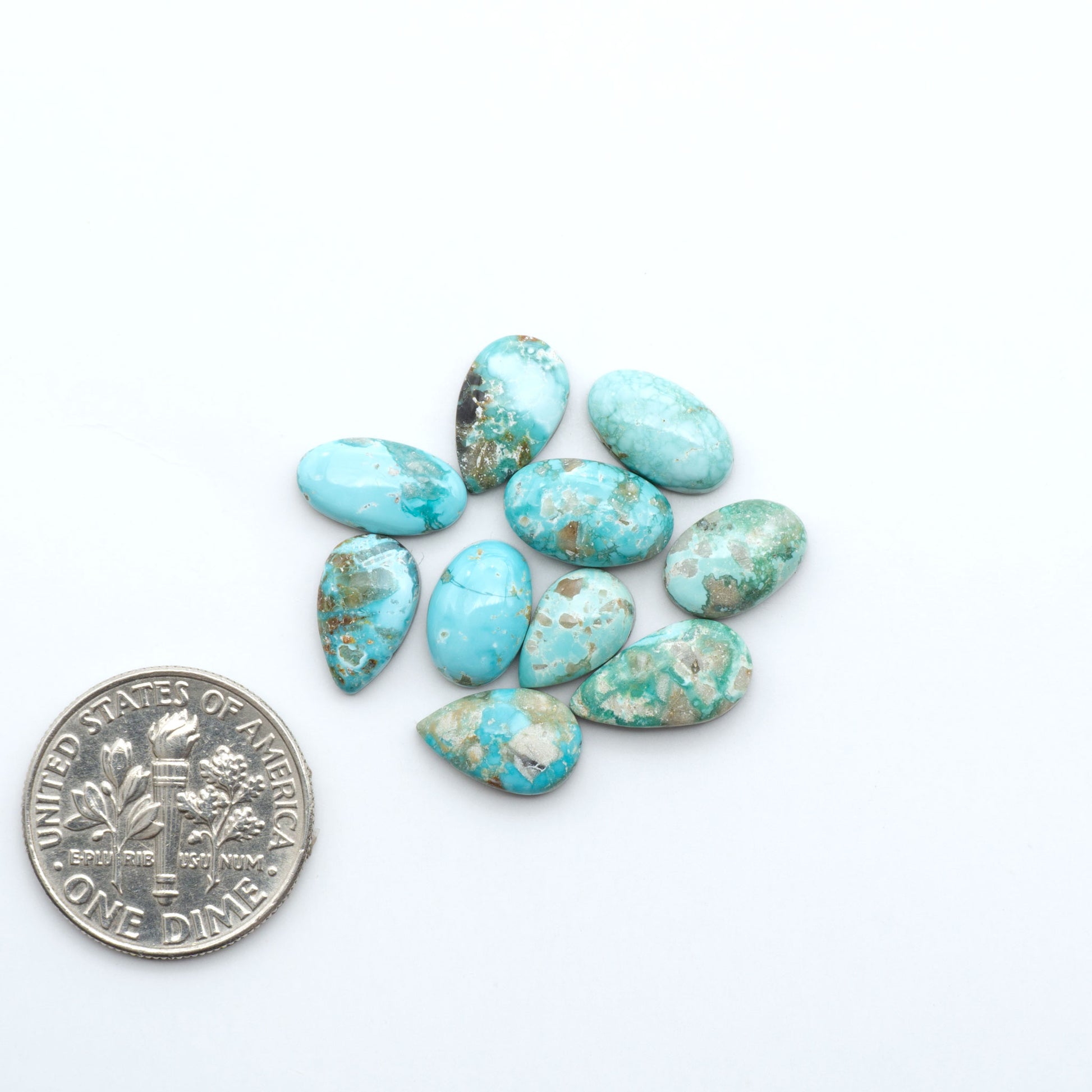 Fox Turquoise cabochons, polished gemstones with natural matrix on a white background, with a US dime for scale