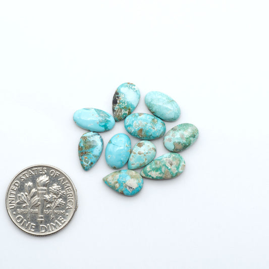 Fox Turquoise cabochons, polished gemstones with natural matrix on a white background, with a US dime for scale