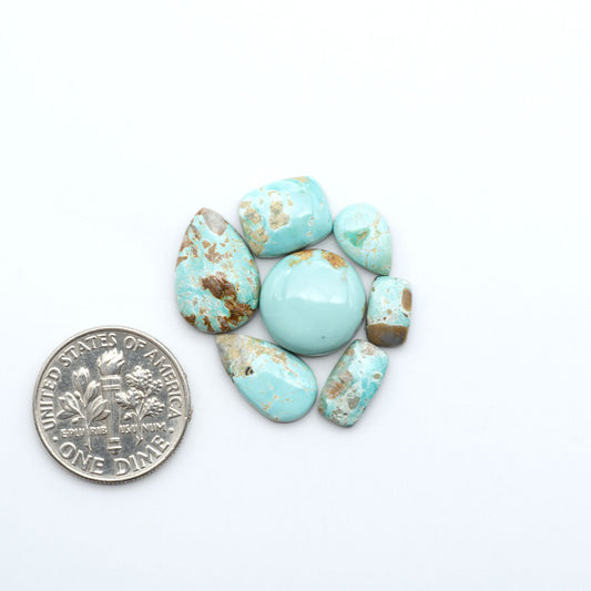 Fox Turquoise cabochons, polished gemstones with natural matrix on a white background, with a US dime for scale