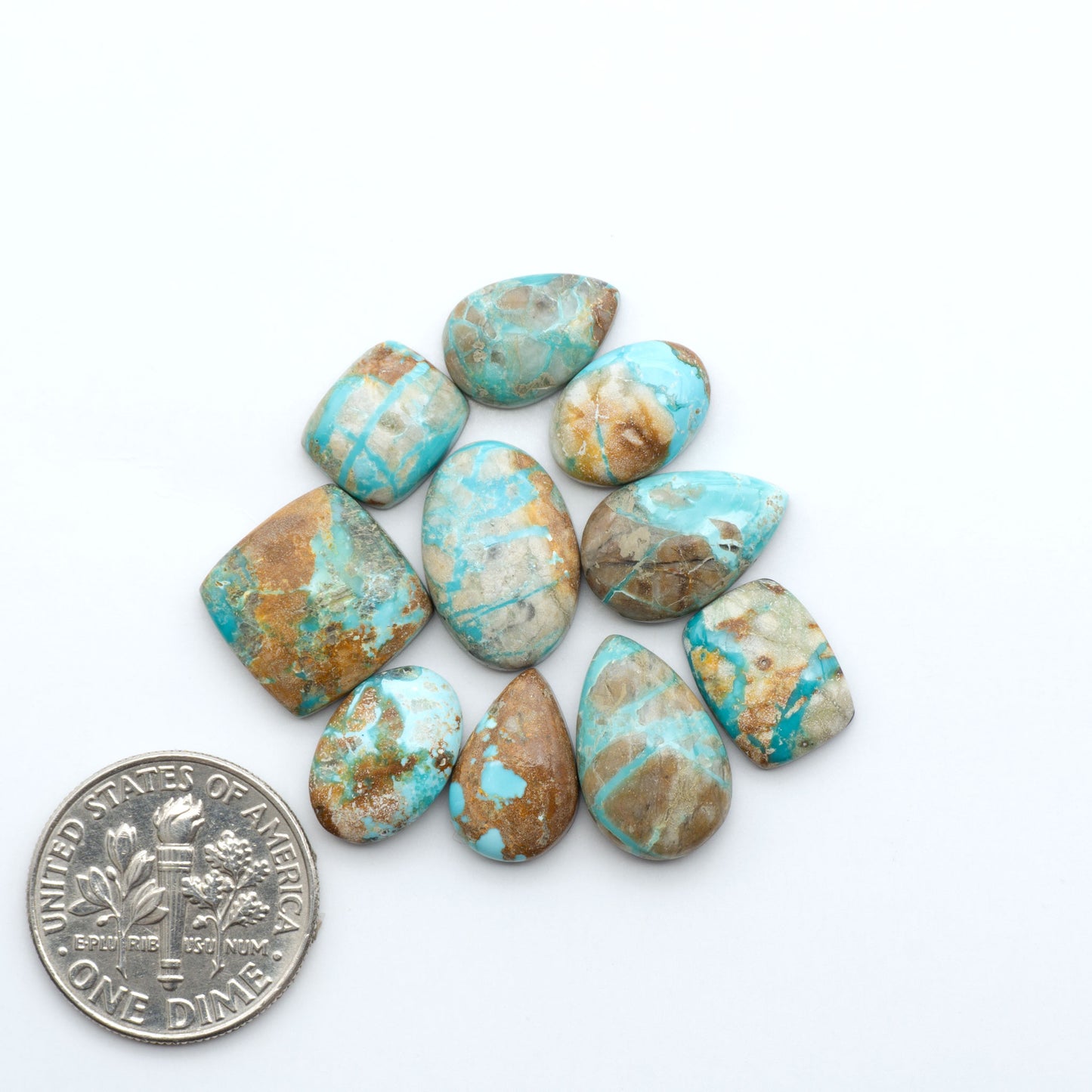 Fox Turquoise cabochons, polished gemstones with natural matrix on a white background, with a US dime for scale