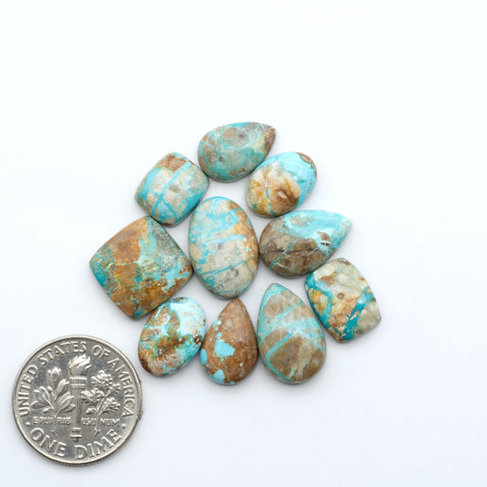 Fox Turquoise cabochons, polished gemstones with natural matrix on a white background, with a US dime for scale