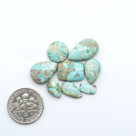 Fox Turquoise cabochons, polished gemstones with natural matrix on a white background, with a US dime for scale