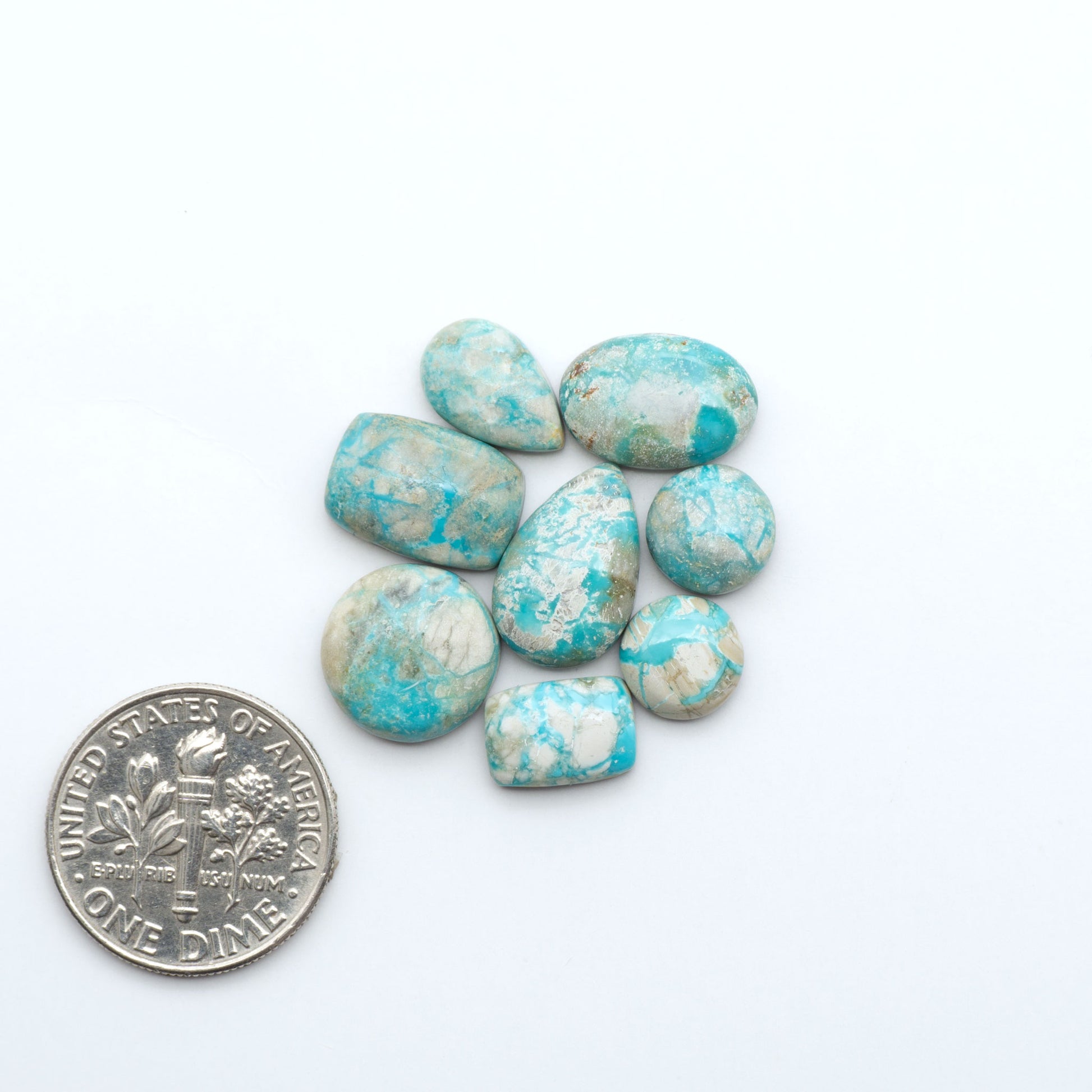 Fox Turquoise cabochons, polished gemstones with natural matrix on a white background, with a US dime for scale