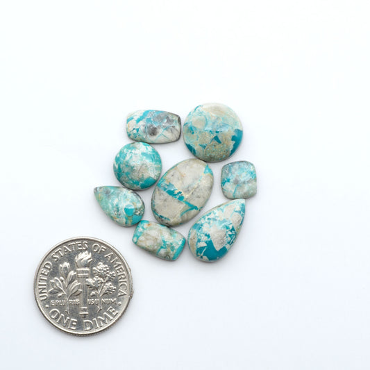 Fox Turquoise cabochons, polished gemstones with natural matrix on a white background, with a US dime for scale
