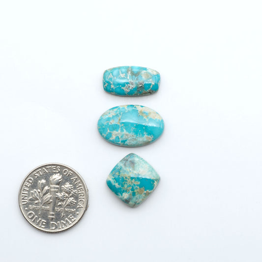 Fox Turquoise cabochons, polished gemstones with natural matrix on a white background, with a US dime for scale