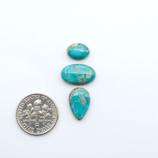 Fox Turquoise cabochons, polished gemstones with natural matrix on a white background, with a US dime for scale