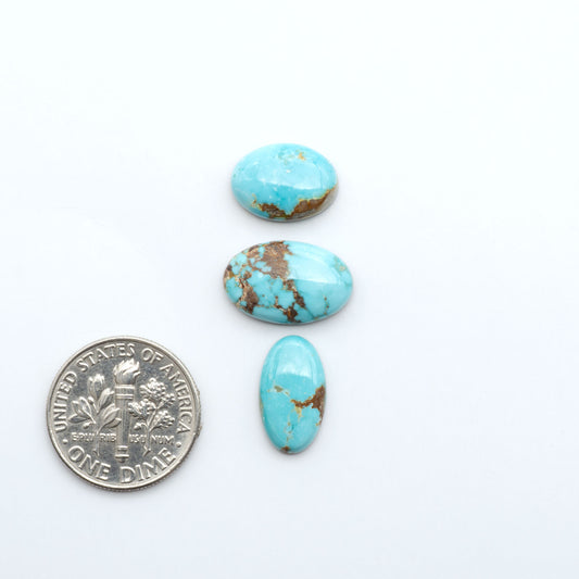 Fox Turquoise cabochons, polished gemstones with natural matrix on a white background, with a US dime for scale