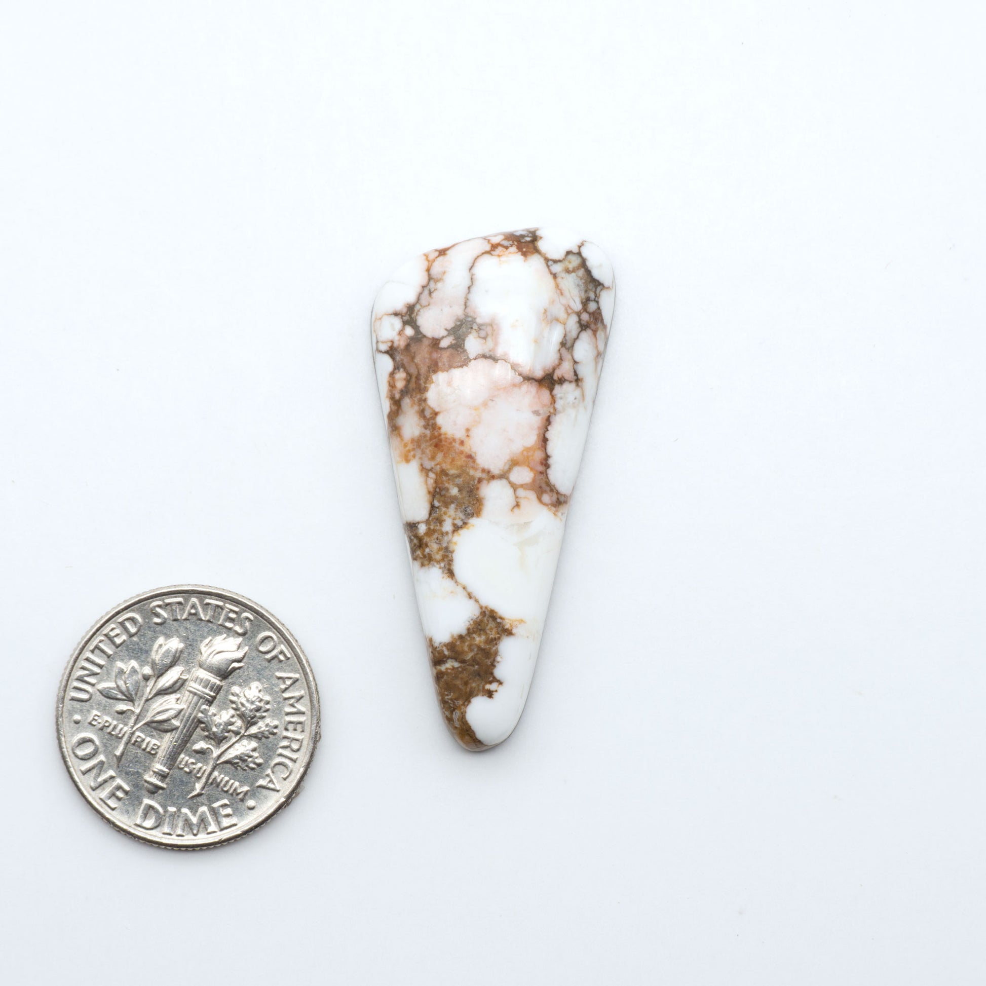 Wild Horse Magnesite cabochons, white gemstones with brown matrix on a white background, with a US dime for scale