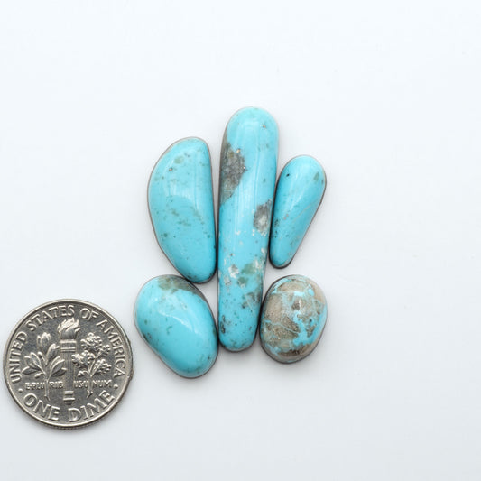 Nacozari Turquoise cabochons, blue to greenish-blue gemstones with black or brown matrix and pyrite on a white background with a US dime for scale