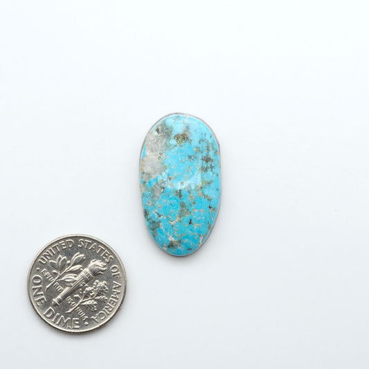Nacozari Turquoise cabochons, blue to greenish-blue gemstones with black or brown matrix and pyrite on a white background with a US dime for scale