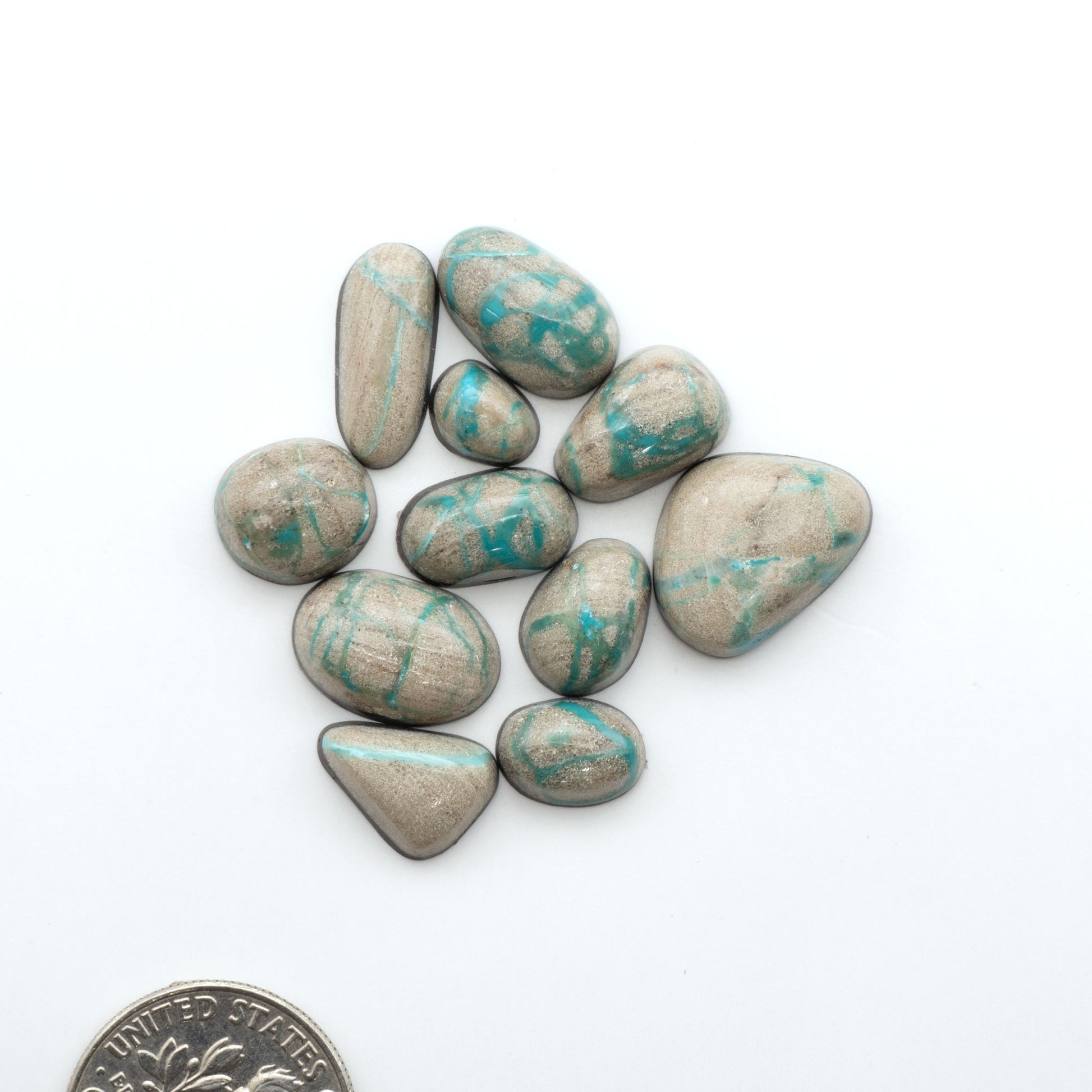 Carico Lake Turquoise cabochons, aqua-blue to turquoise gemstones with natural matrix on a white background with a US dime for scale