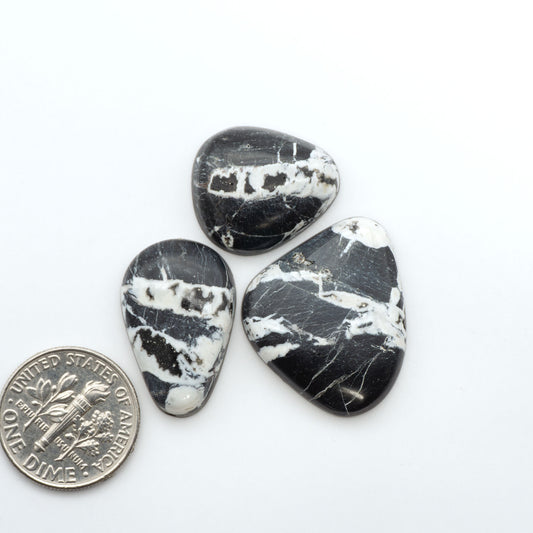White Buffalo stone cabochons, white stone with black matrix, polished stones on a white background, with a US dime for scale