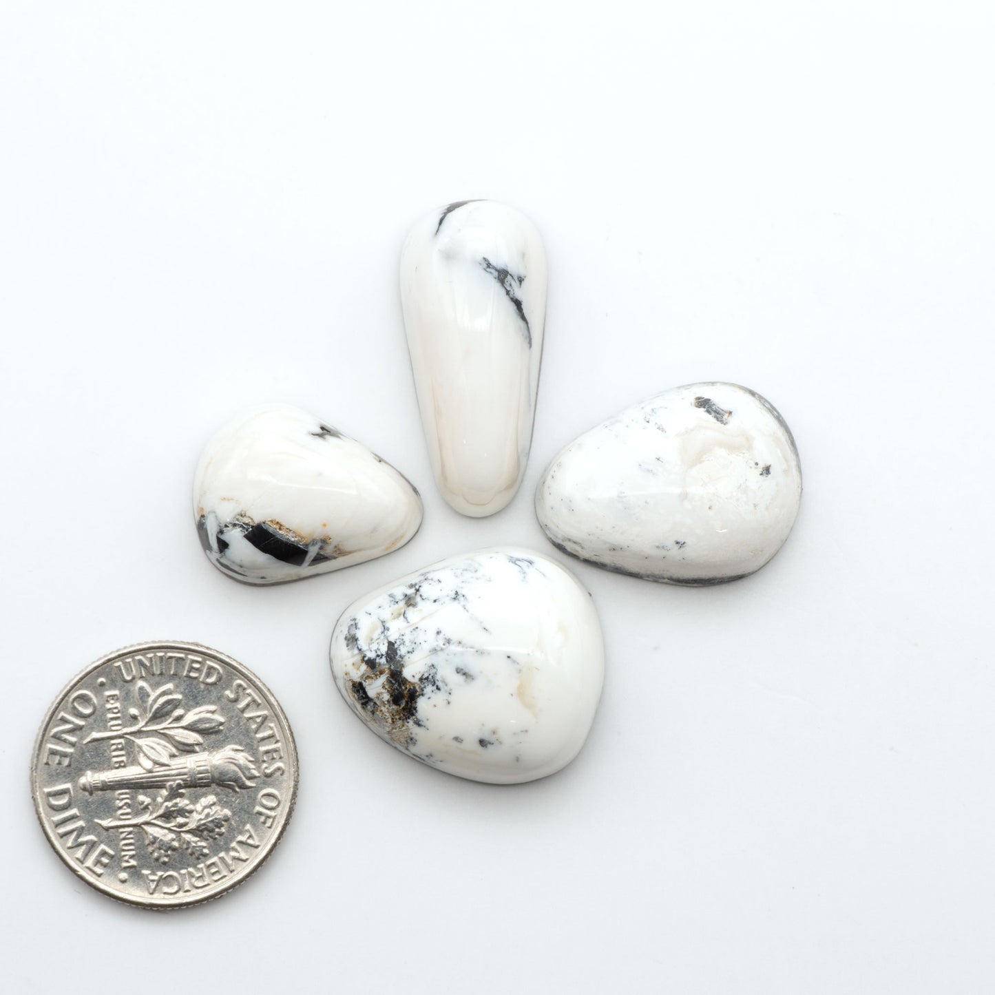White Buffalo stone cabochons, white stone with black matrix, polished stones on a white background, with a US dime for scale