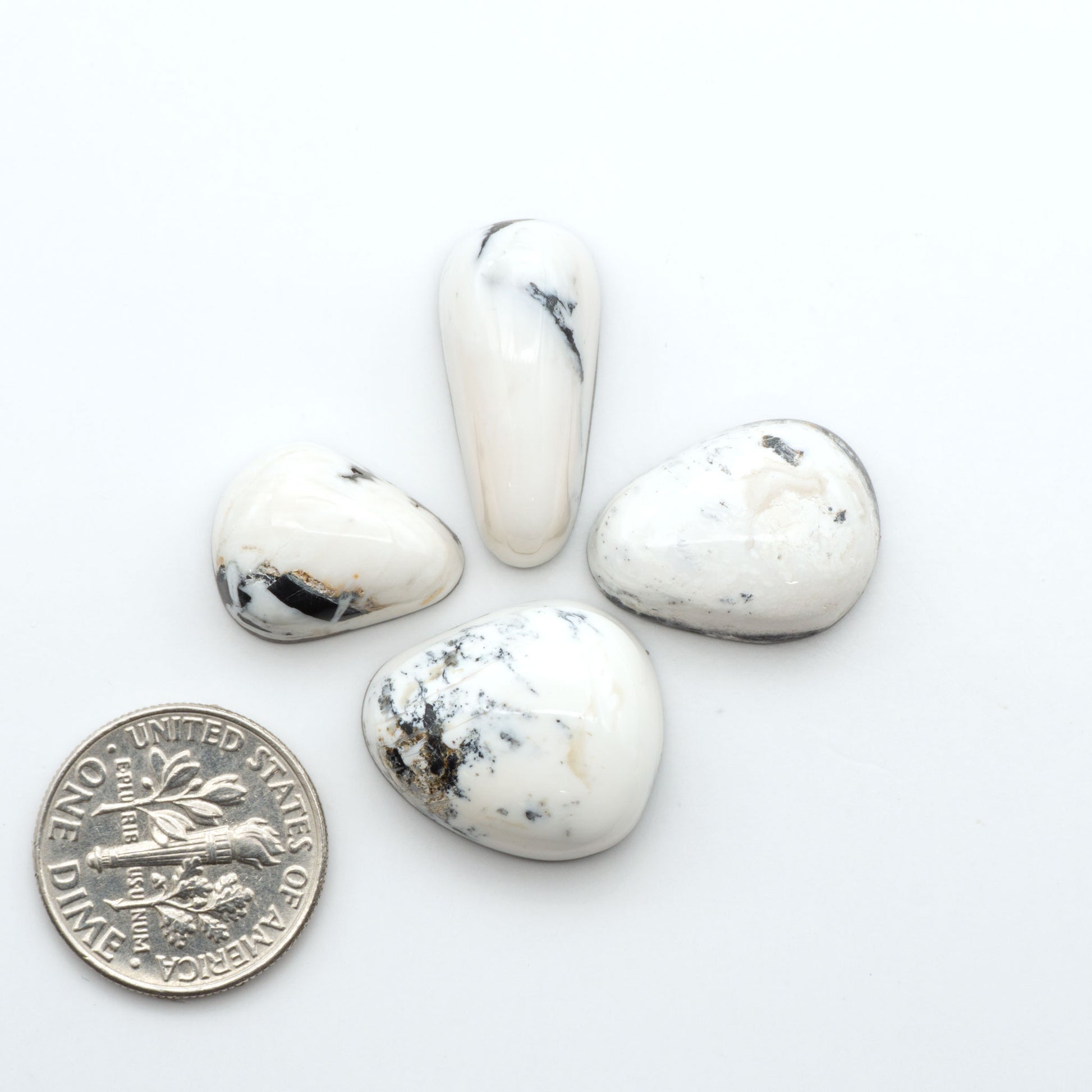 White Buffalo stone cabochons, white stone with black matrix, polished stones on a white background, with a US dime for scale