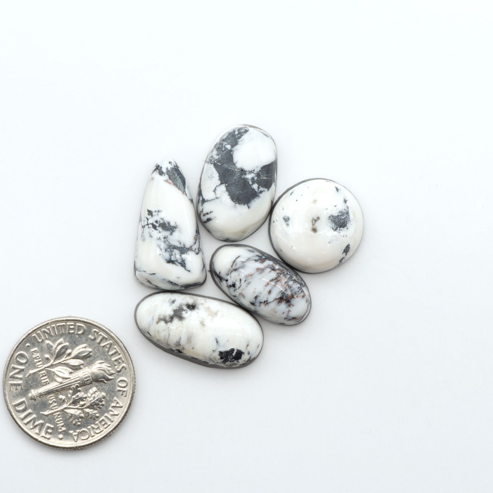 White Buffalo stone cabochons, white stone with black matrix, polished stones on a white background, with a US dime for scale