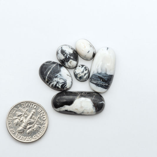 White Buffalo stone cabochons, white stone with black matrix, polished stones on a white background, with a US dime for scale