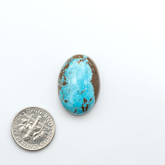 Number 8 Turquoise cabochons, blue and green color with brown matrix, polished stones on a white background, with a US dime for scale