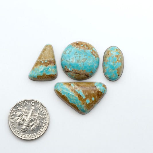 Number 8 Turquoise cabochons, blue and green color with brown matrix, polished stones on a white background, with a US dime for scale