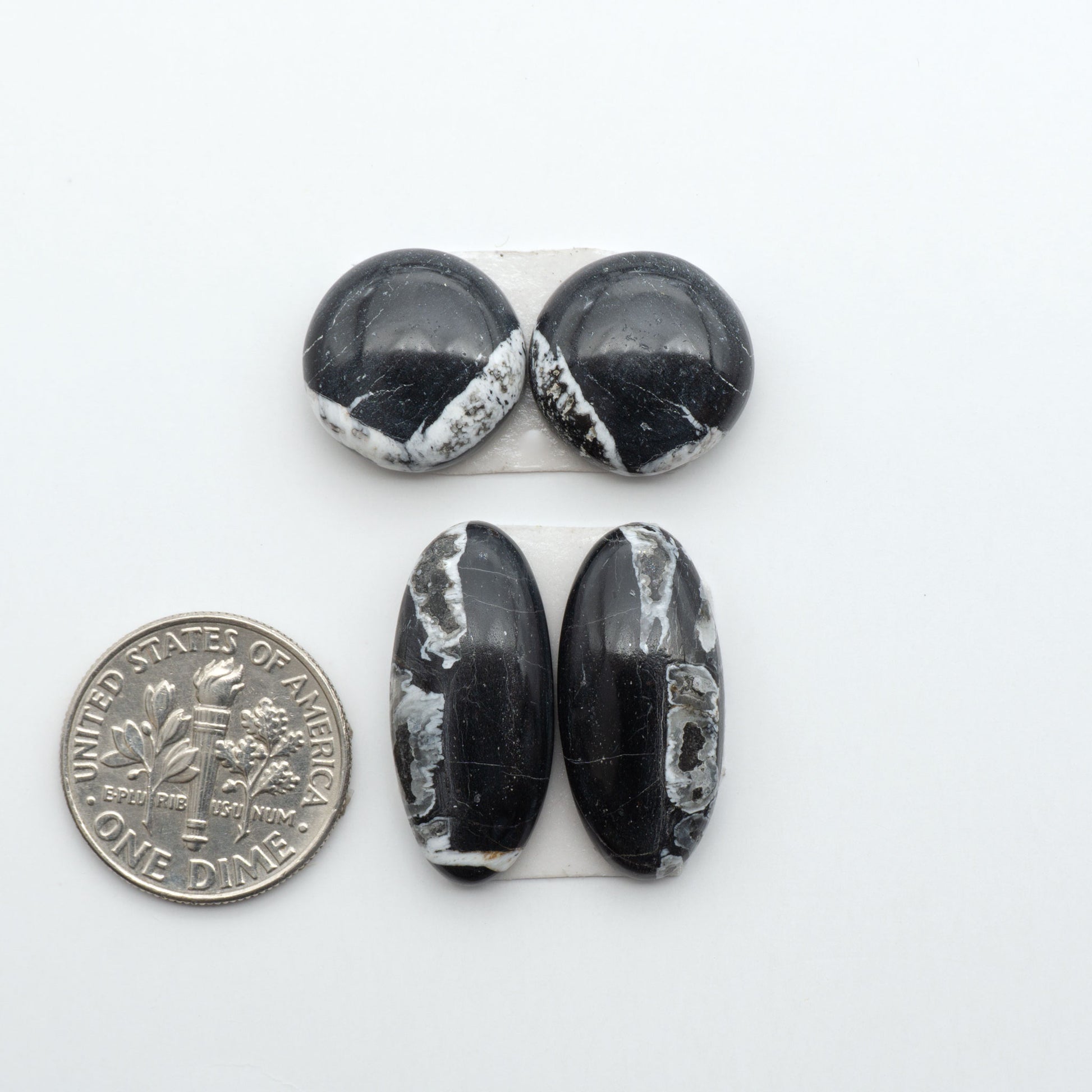 White Buffalo stone cabochons, white stone with black matrix, polished stones on a white background, with a US dime for scale