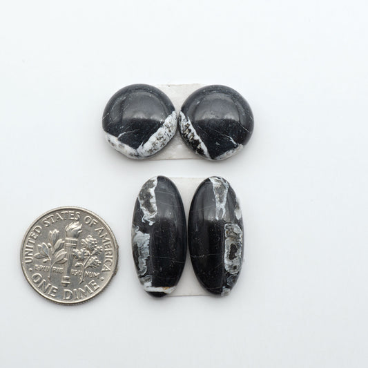 White Buffalo stone cabochons, white stone with black matrix, polished stones on a white background, with a US dime for scale