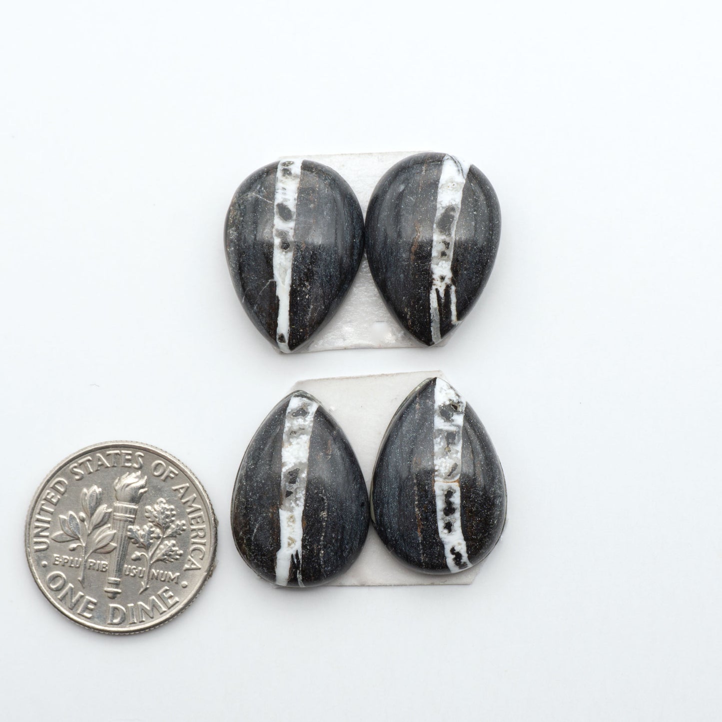 White Buffalo stone cabochons, white stone with black matrix, polished stones on a white background, with a US dime for scale