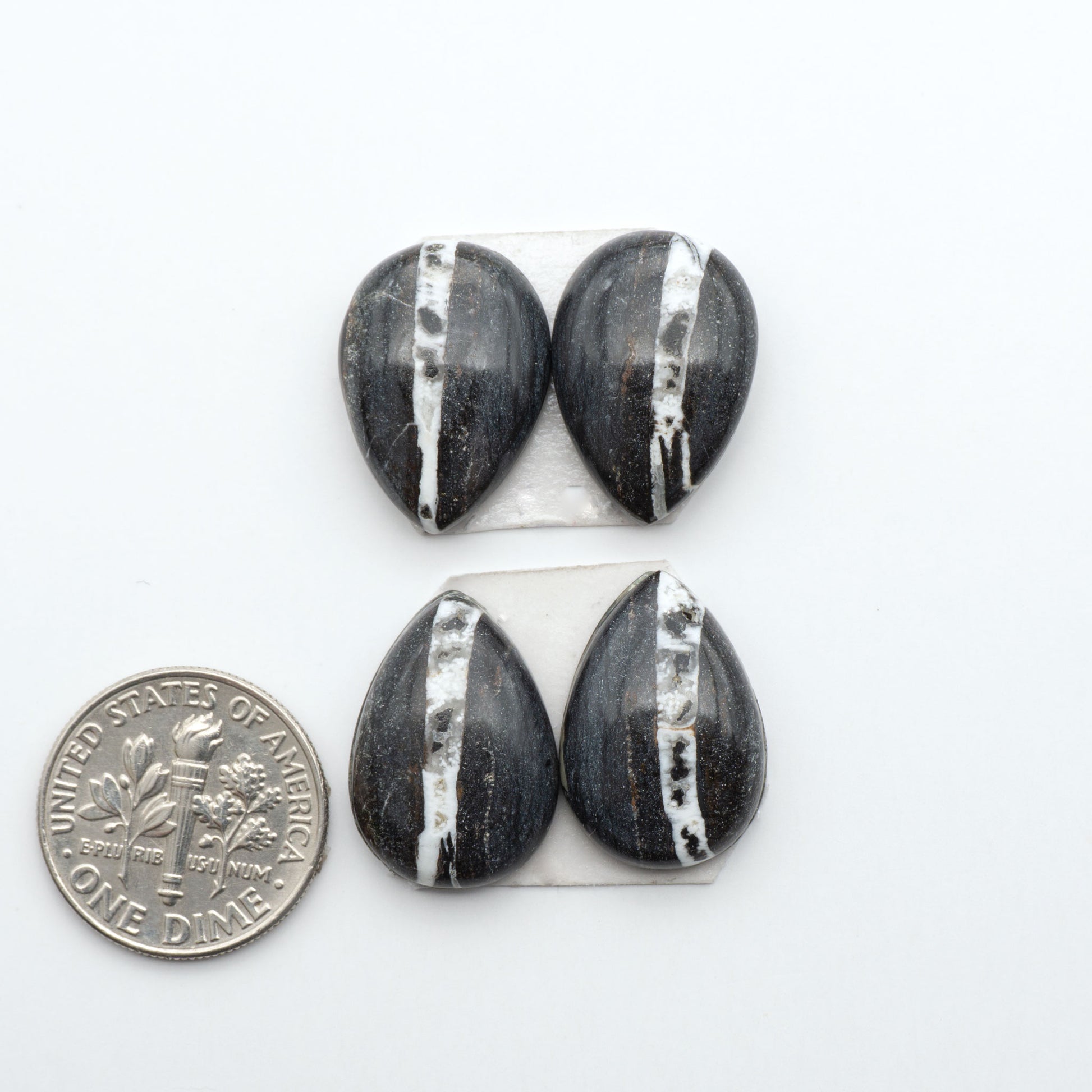 White Buffalo stone cabochons, white stone with black matrix, polished stones on a white background, with a US dime for scale