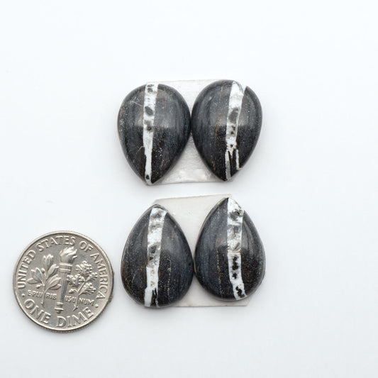 White Buffalo stone cabochons, white stone with black matrix, polished stones on a white background, with a US dime for scale