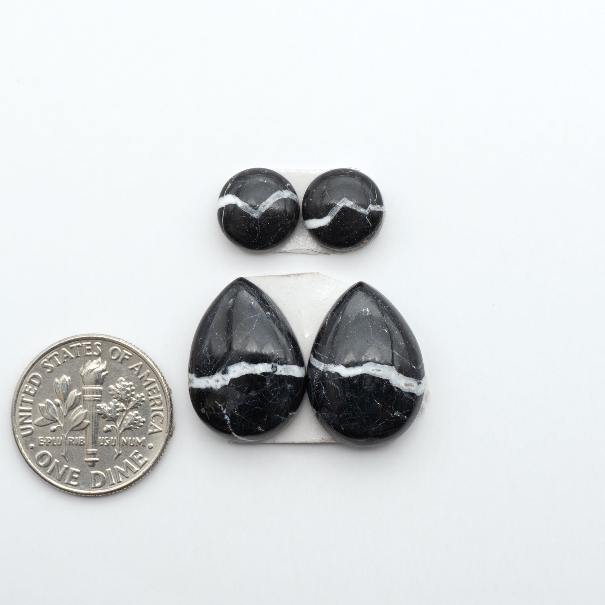 White Buffalo stone cabochons, white stone with black matrix, polished stones on a white background, with a US dime for scale