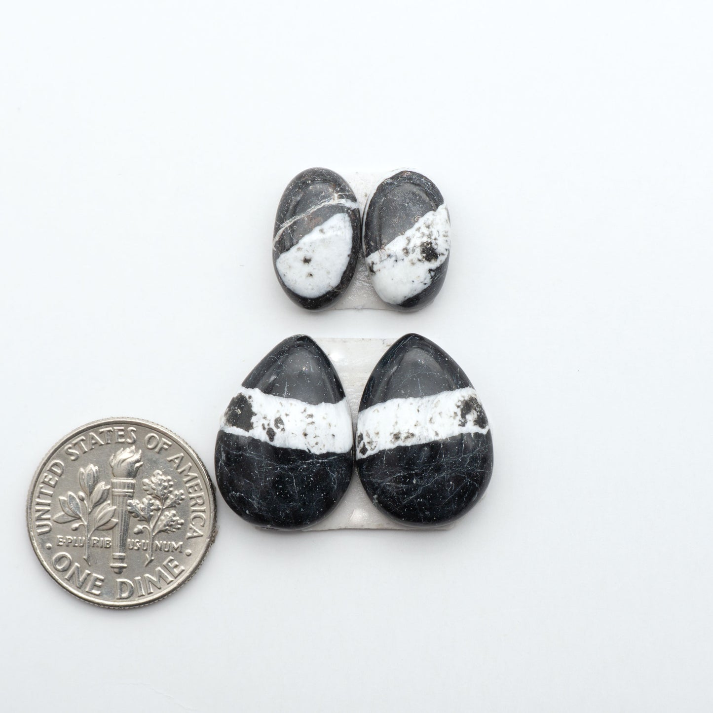 White Buffalo stone cabochons, white stone with black matrix, polished stones on a white background, with a US dime for scale