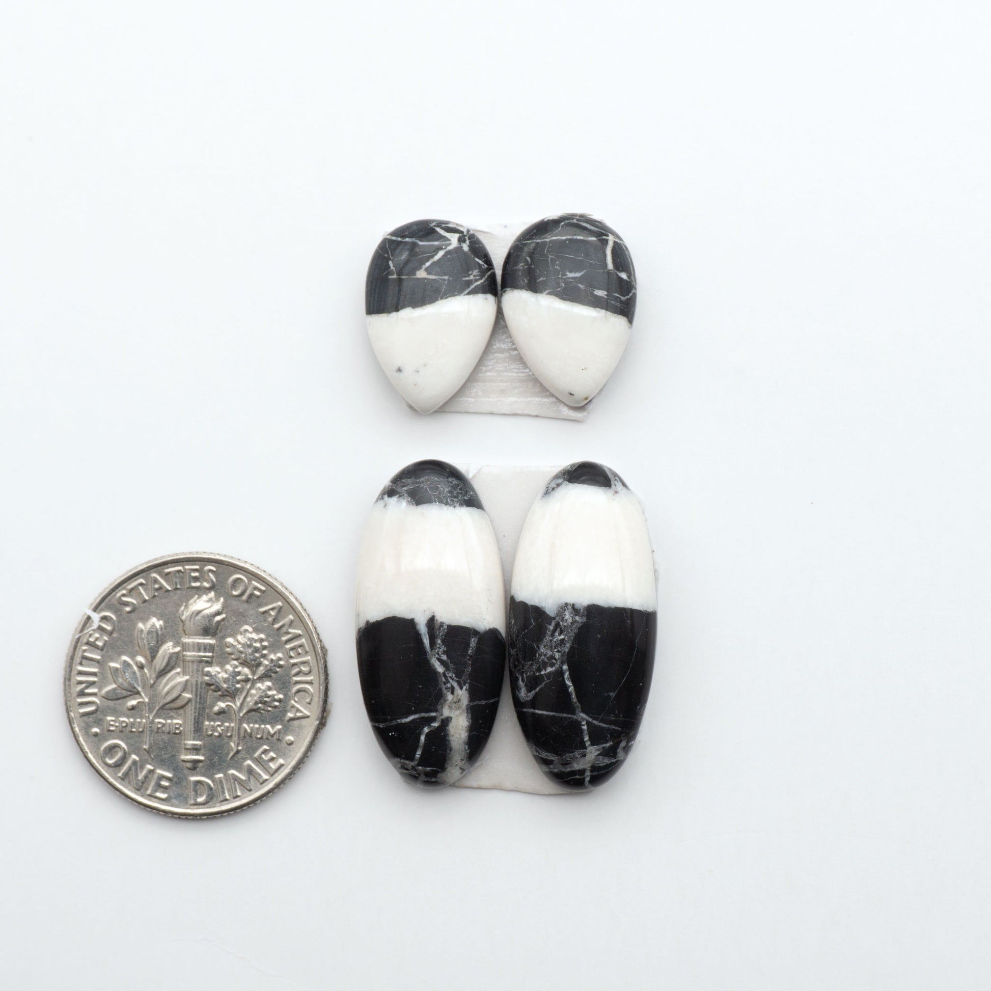White Buffalo stone cabochons, white stone with black matrix, polished stones on a white background, with a US dime for scale