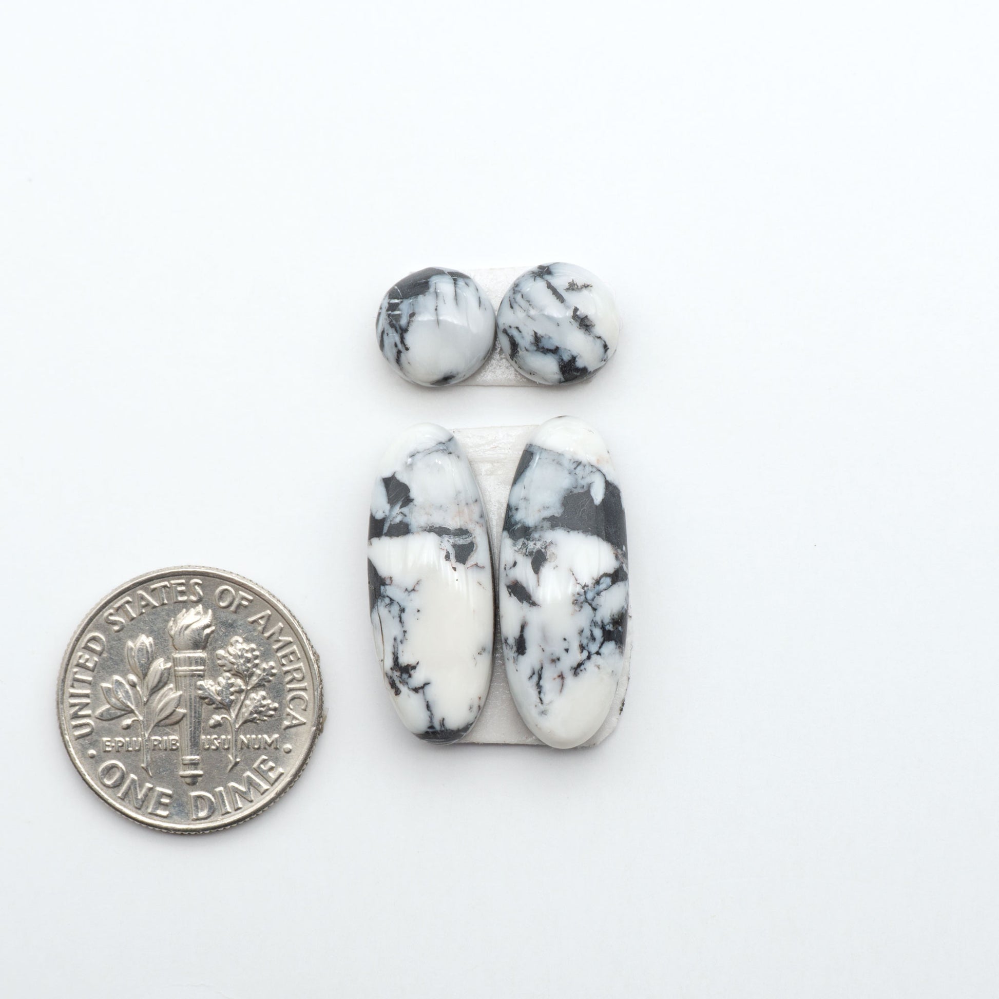 White Buffalo stone cabochons, white stone with black matrix, polished stones on a white background, with a US dime for scale