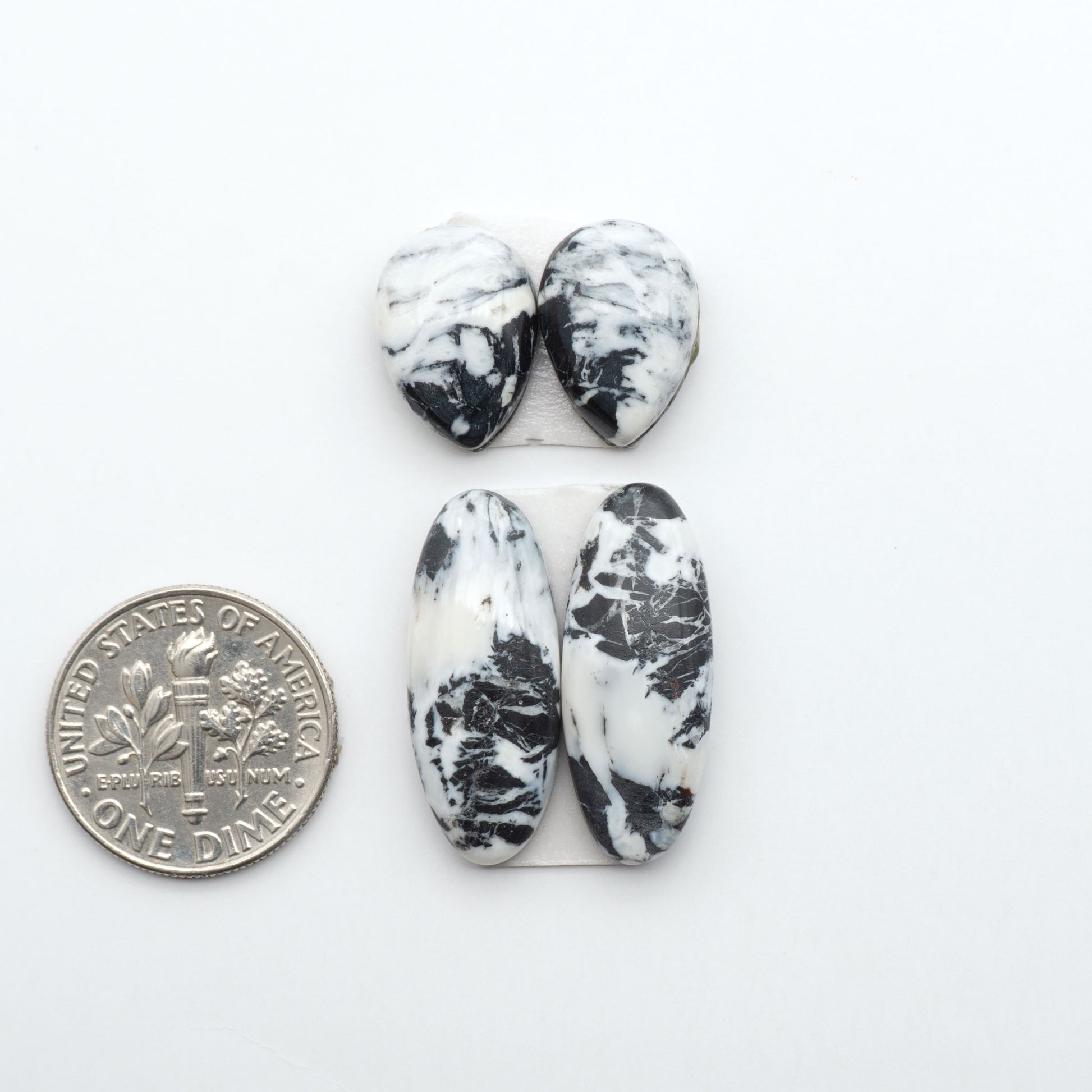 White Buffalo stone cabochons, white stone with black matrix, polished stones on a white background, with a US dime for scale