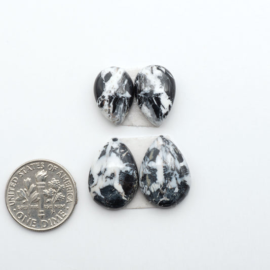 White Buffalo stone cabochons, white stone with black matrix, polished stones on a white background, with a US dime for scale