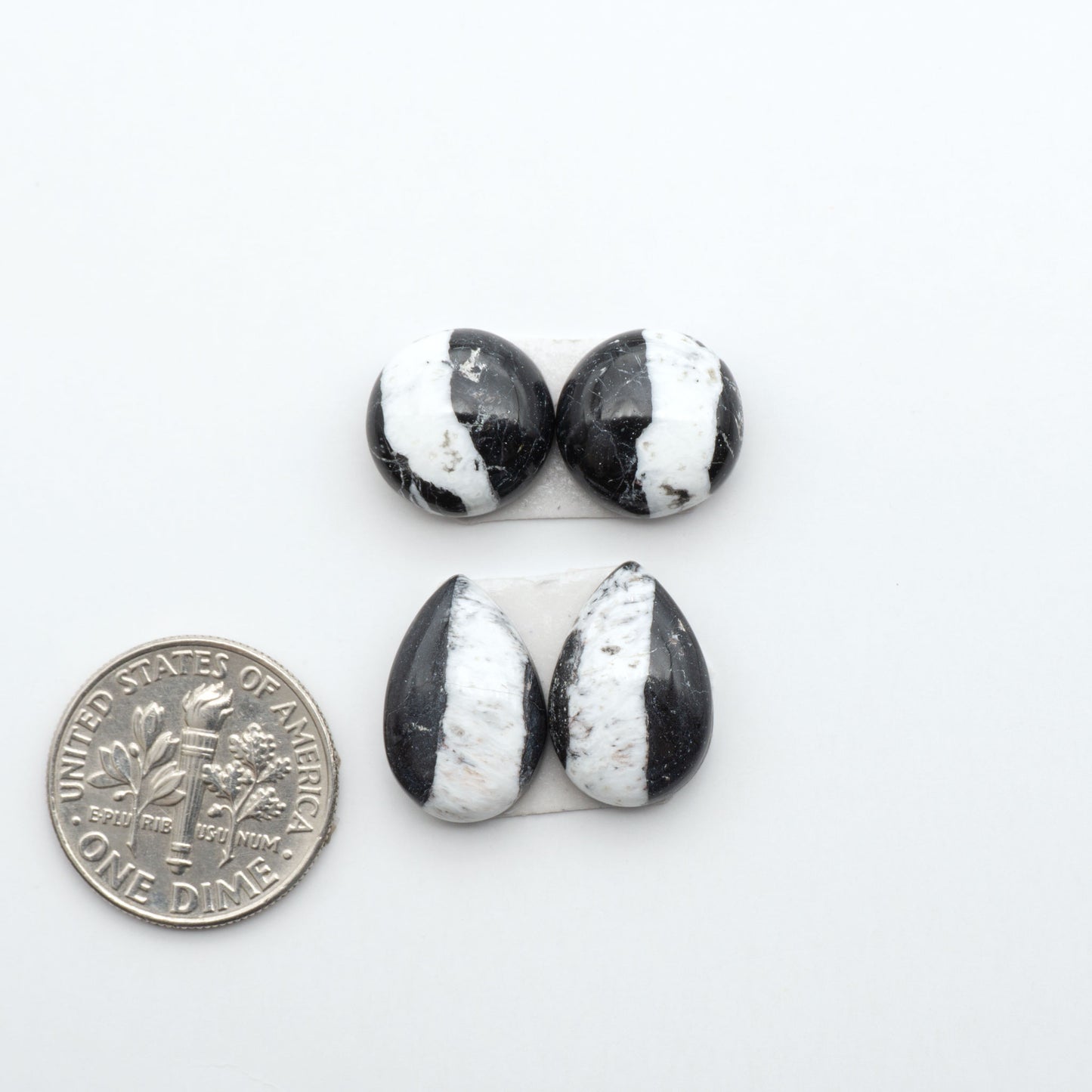 White Buffalo Stone Cabochons