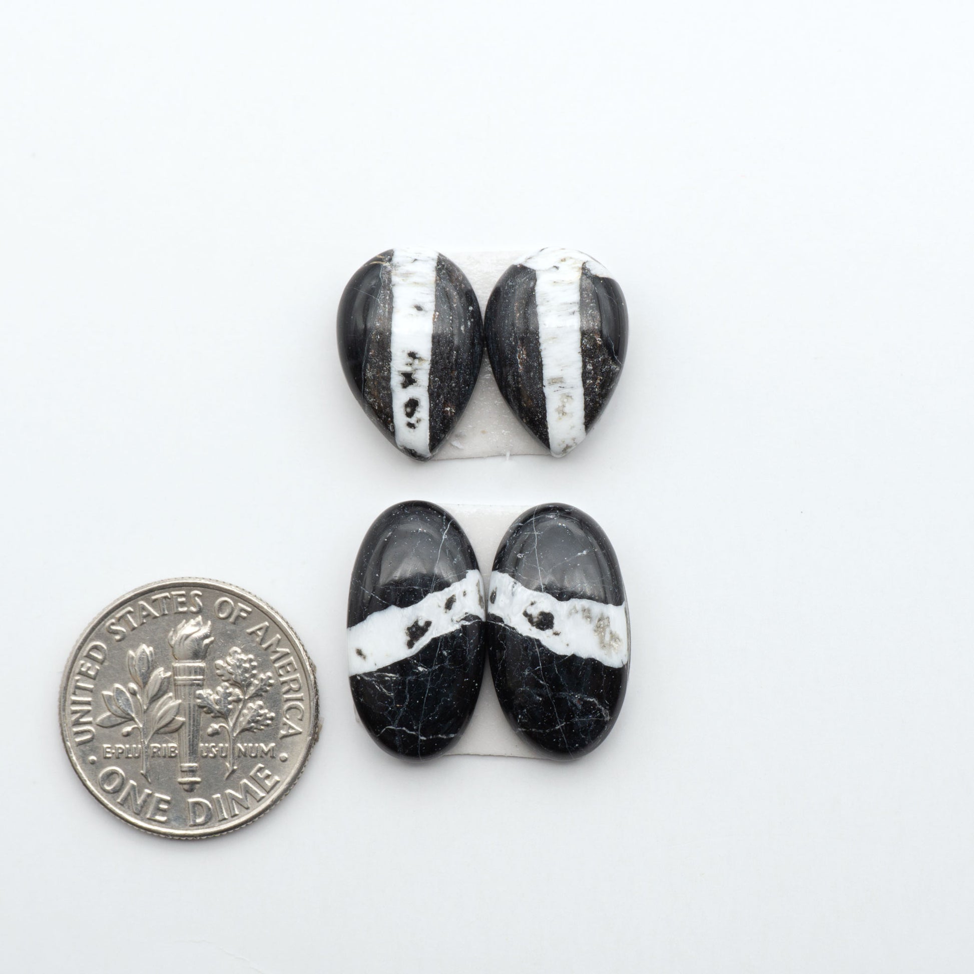 White Buffalo stone cabochons, white stone with black matrix, polished stones on a white background, with a US dime for scale