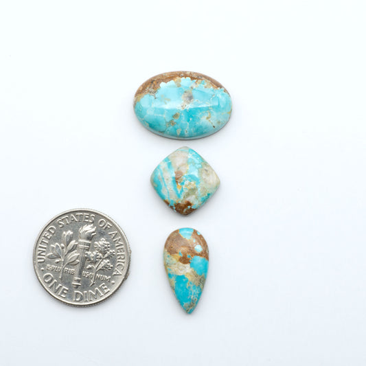 Fox Turquoise cabochons, polished gemstones with natural matrix on a white background, with a US dime for scale