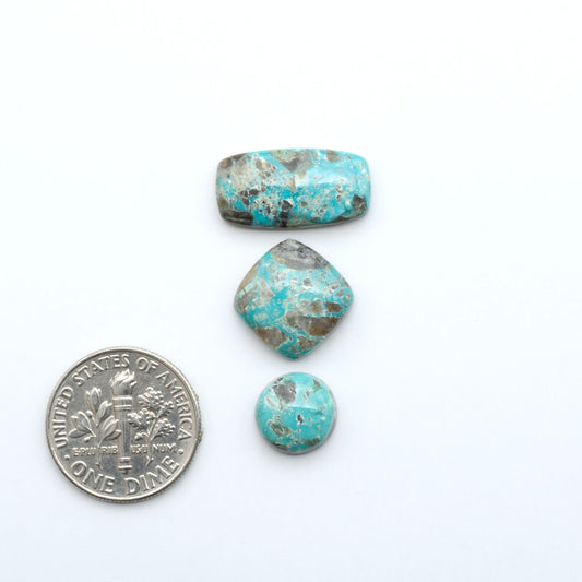 Fox Turquoise cabochons, polished gemstones with natural matrix on a white background, with a US dime for scale