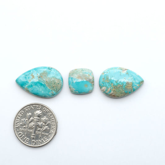 Fox Turquoise cabochons, polished gemstones with natural matrix on a white background, with a US dime for scale