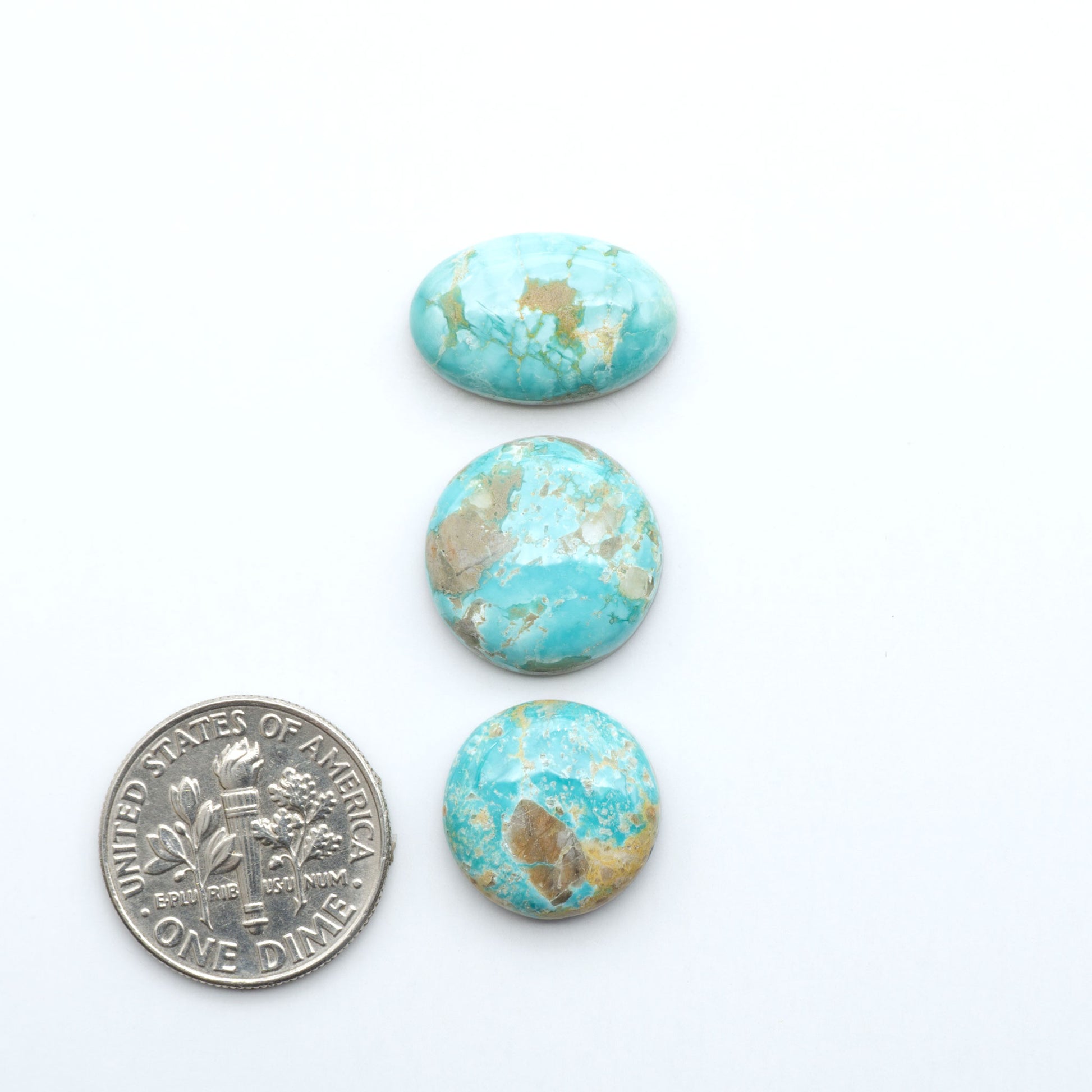Fox Turquoise cabochons, polished gemstones with natural matrix on a white background, with a US dime for scale