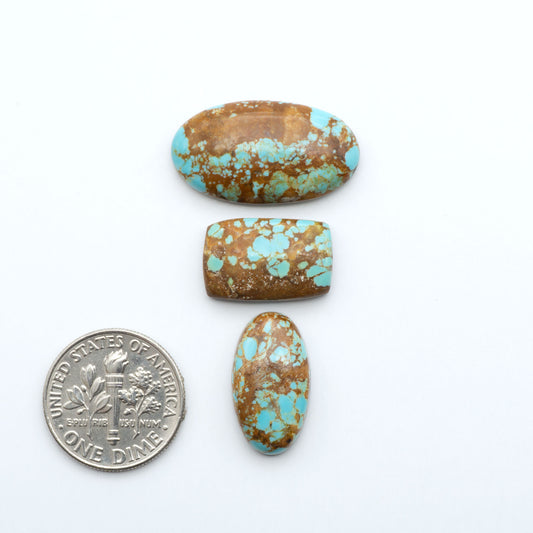 Number 8 Turquoise cabochons, blue and green color with brown matrix, polished stones on a white background, with a US dime for scale