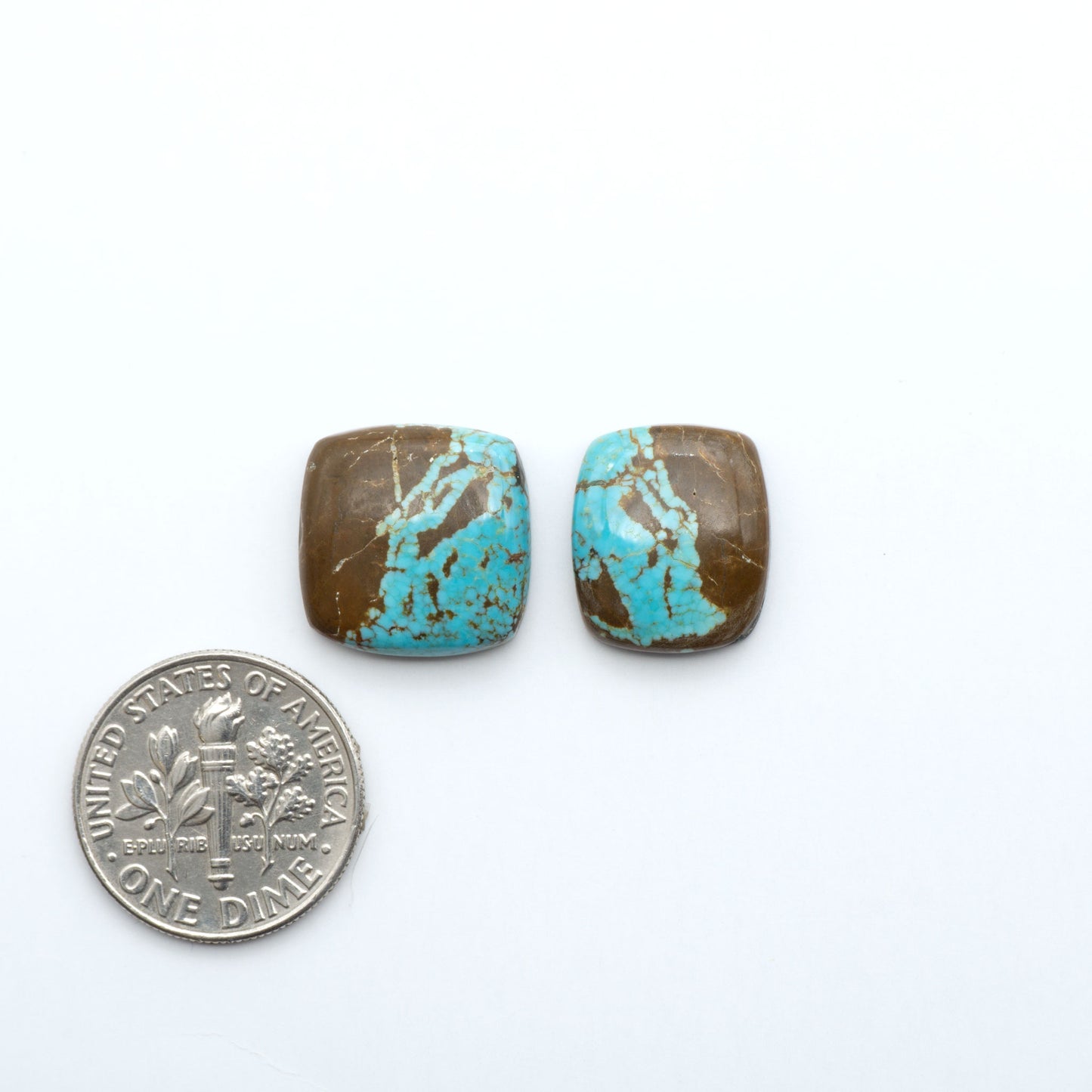 Number 8 Turquoise cabochons, blue and green color with brown matrix, polished stones on a white background, with a US dime for scale