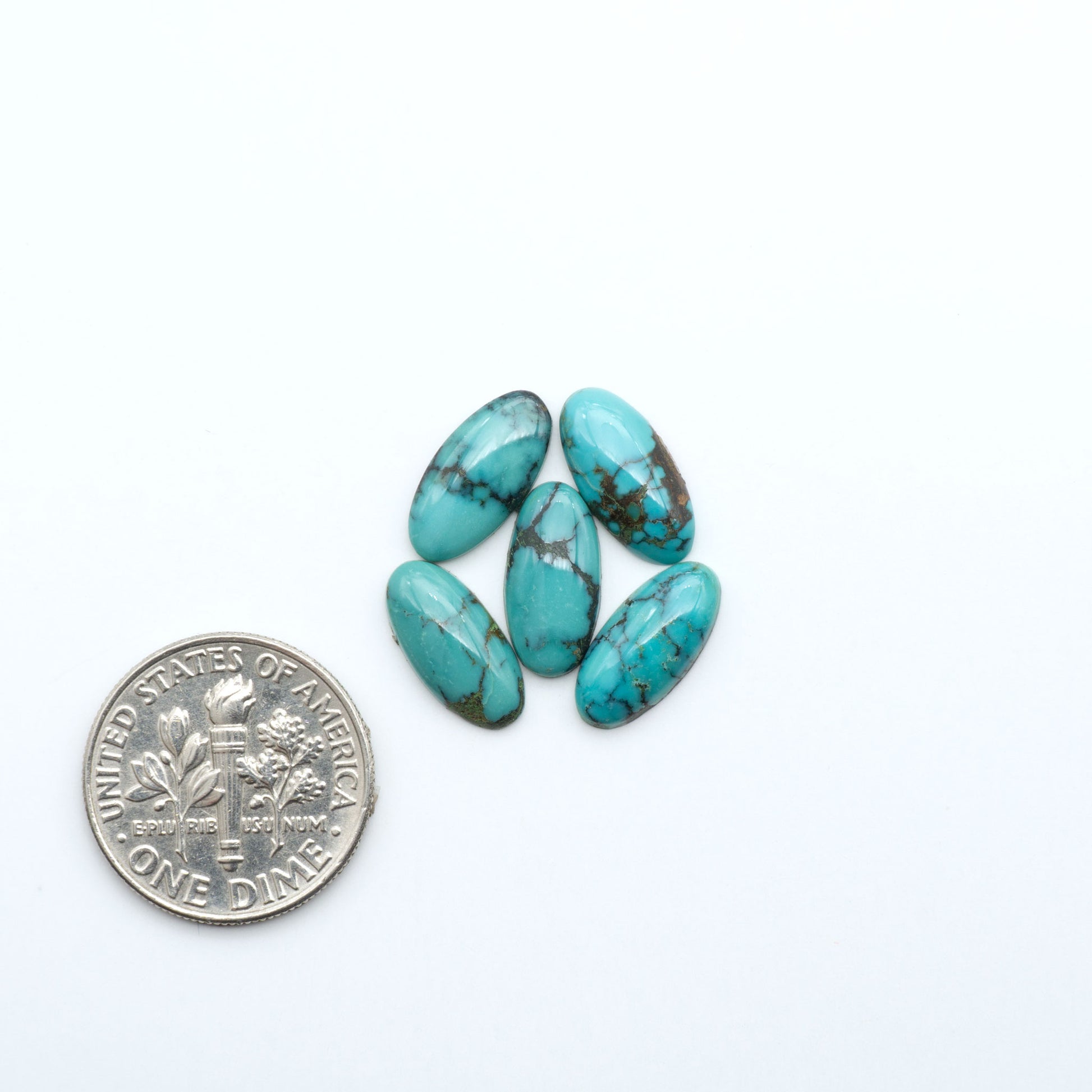 Hubei Cloud Mountain Turquoise cabochons, blue and green color with black matrix, polished stones on a white background, with a US dime for scale